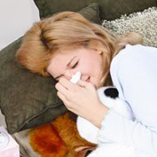 Dust Mite Anti Allergen Treatment