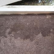 Water Damage  Carpet Repairs  Re-stretching